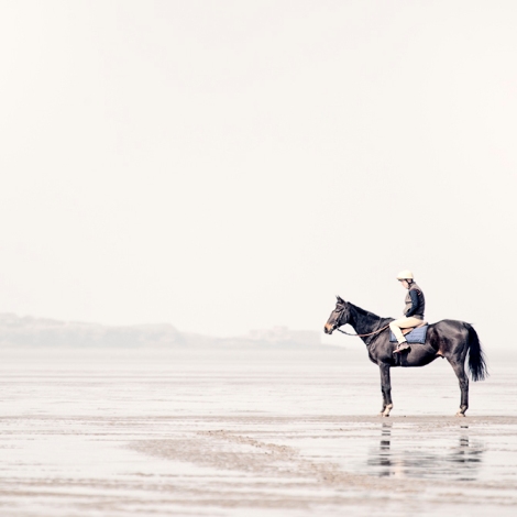 Horse-Beach-Steve-Deer