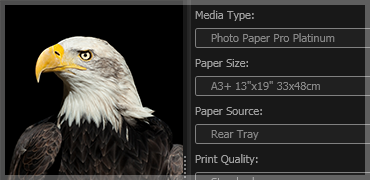 media type